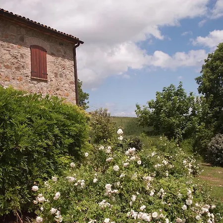 Willa Delle Fonti *